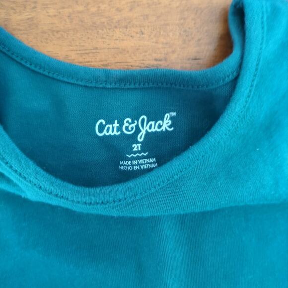 Toddler Girls turquoise tull skirt jersey long sleeve Dress size 2T NNT - Picture 4 of 8